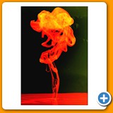 finalDSC00275(1)